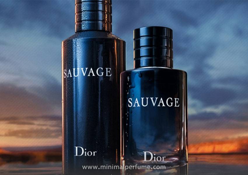 دیور ساواج - ادو پرفیوم | Dior Sauvage