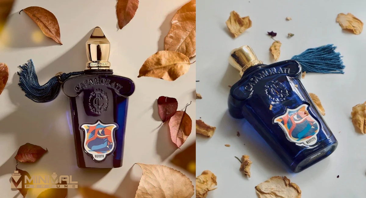 عطر امضا ادکلن زرجف کازموراتی