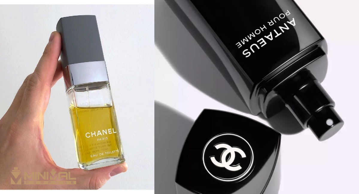 Chanel Pour Monsieur؛ انتخاب مردان کلاسیک